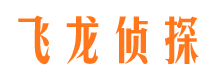 元宝飞龙私家侦探公司